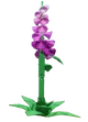 Foxglove